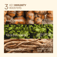 An infographic displaying 3 key immunity boosters: raw turmeric roots, green tulsi leaves, and fibrous ashwagandha roots.