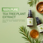 Tea Tree Essential Oil