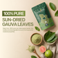 Guava Leaves Powder