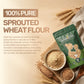 Sprouted Wheat Flour