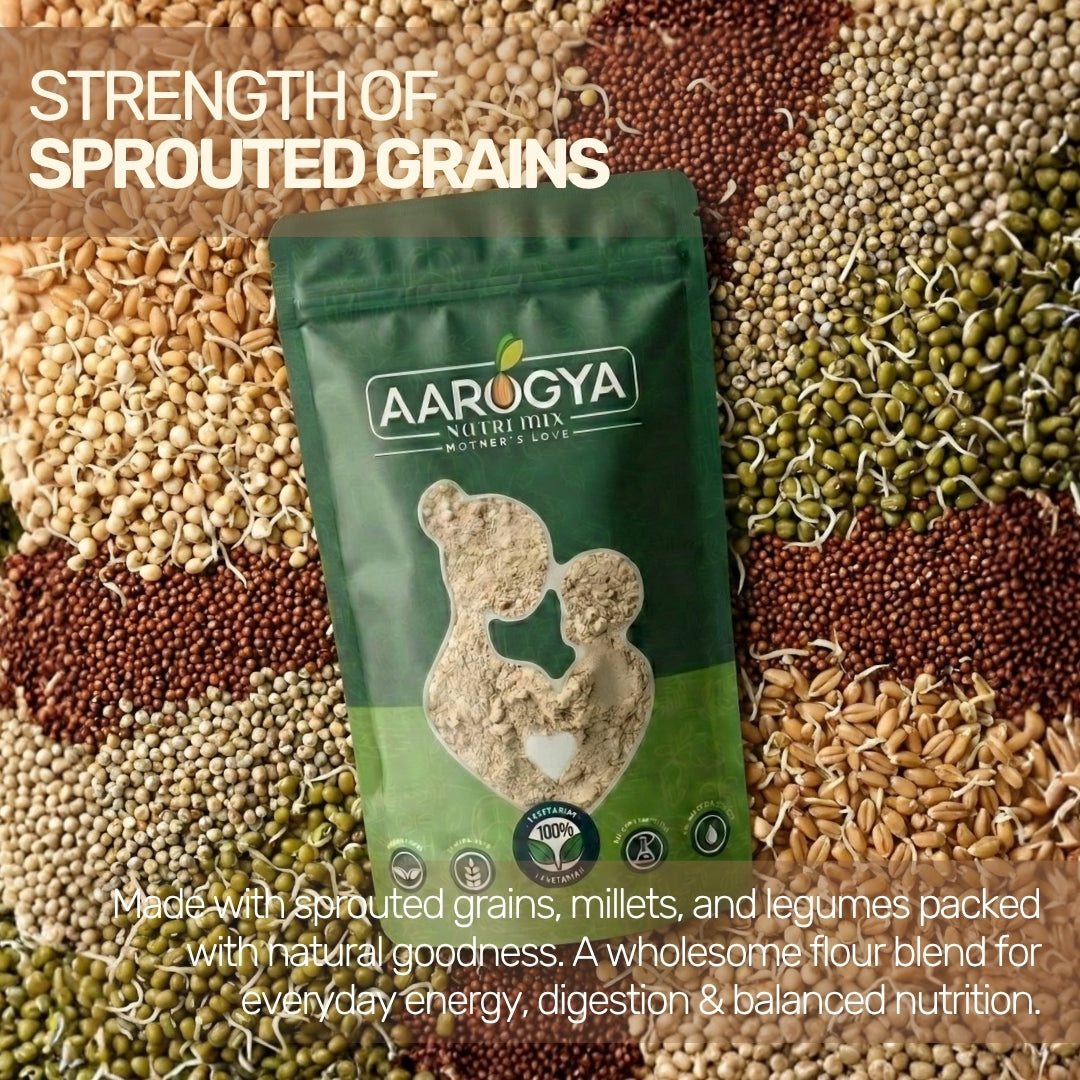 Sprouted Multigrain Flour