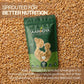 Sprouted Wheat Flour