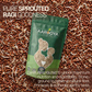 Sprouted Ragi Flour