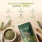 Rosemary Leaves - Dried