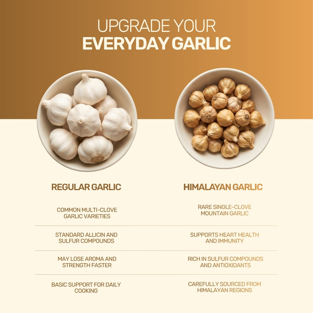 Himalayan Garlic