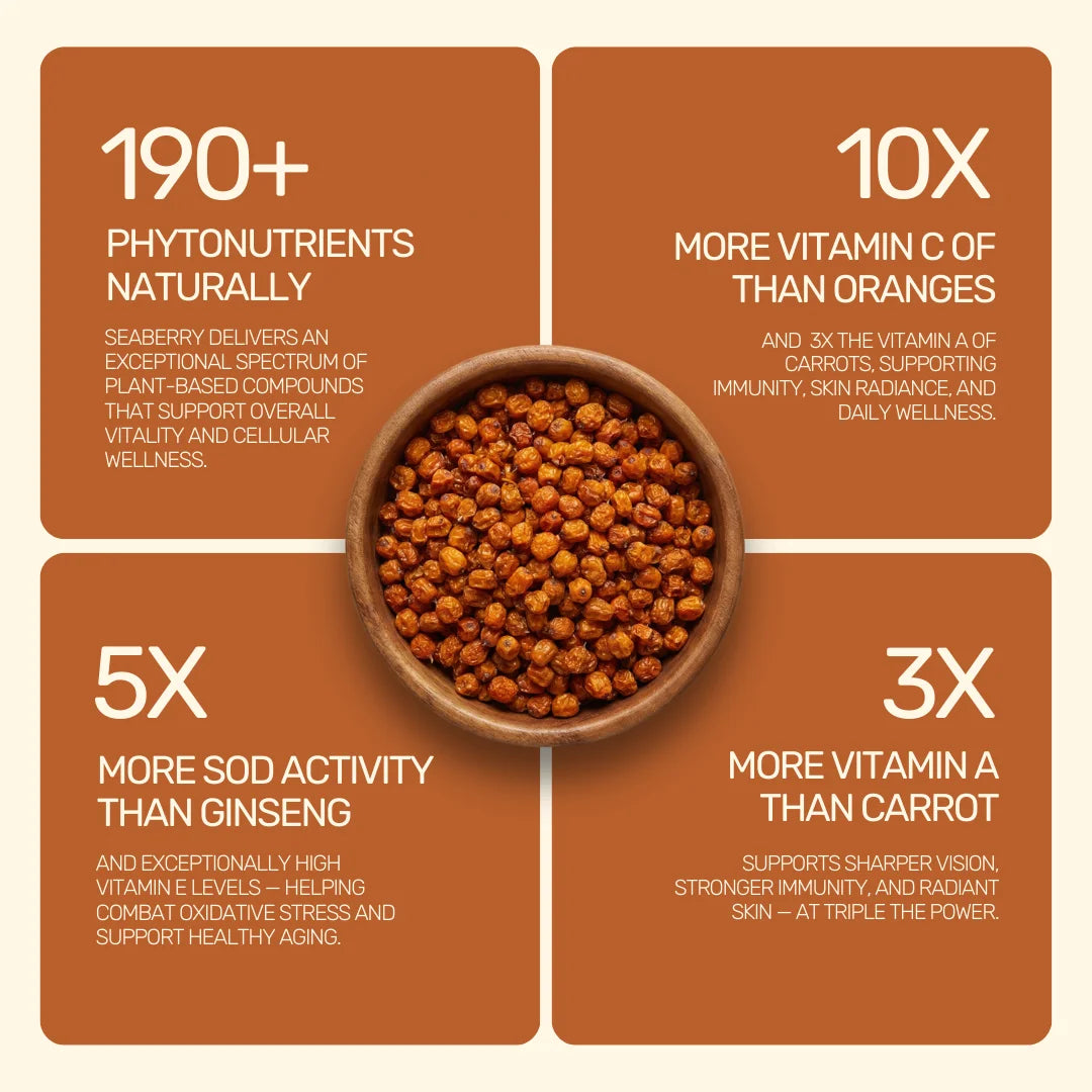 Sea Buckthorn - Dried
