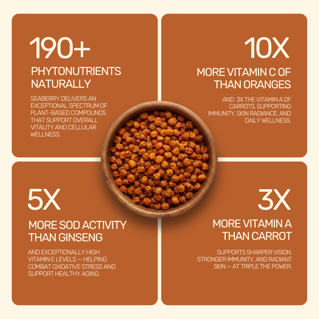Aarogya Nutri Mix Sea Buckthorn – 190+ phytonutrients, 10x vitamin C than oranges, 3x vitamin A than carrots, 5x SOD than ginseng