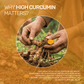 An educational infographic explaining why high curcumin matters, featuring a farmer harvesting raw Lakadong turmeric roots.